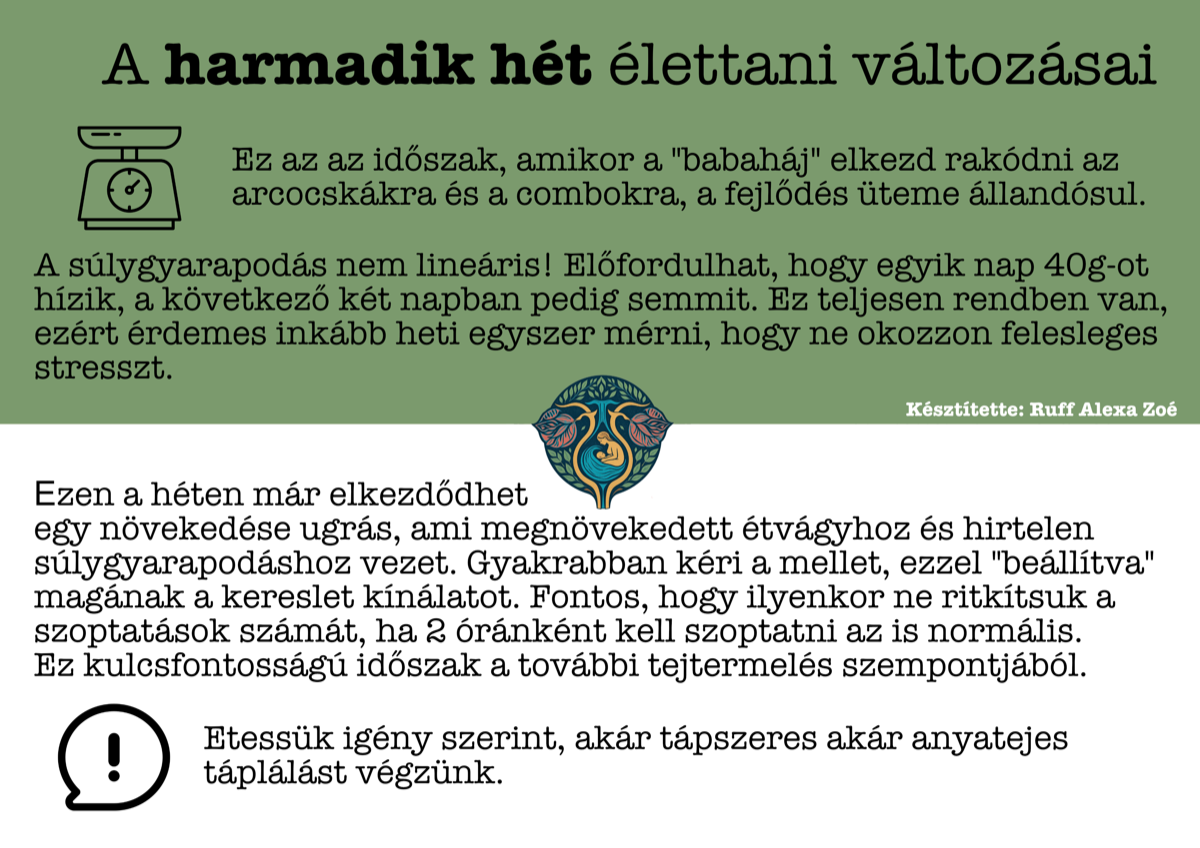 5. oldal